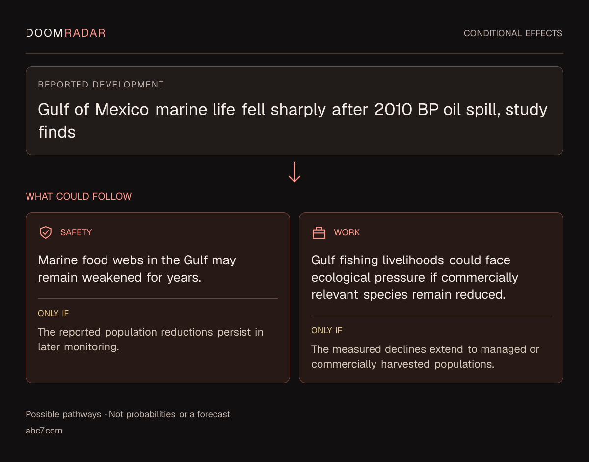 Conditional impact diagram. Reported development: Gulf of Mexico marine life fell sharply after 2010 BP oil spill, study finds. security: Marine food webs in the Gulf may remain weakened for years. Only if: The reported population reductions persist in later monitoring. work: Gulf fishing livelihoods could face ecological pressure if commercially relevant species remain reduced. Only if: The measured declines extend to managed or commercially harvested populations. These are possible effects, not probabilities or a forecast.